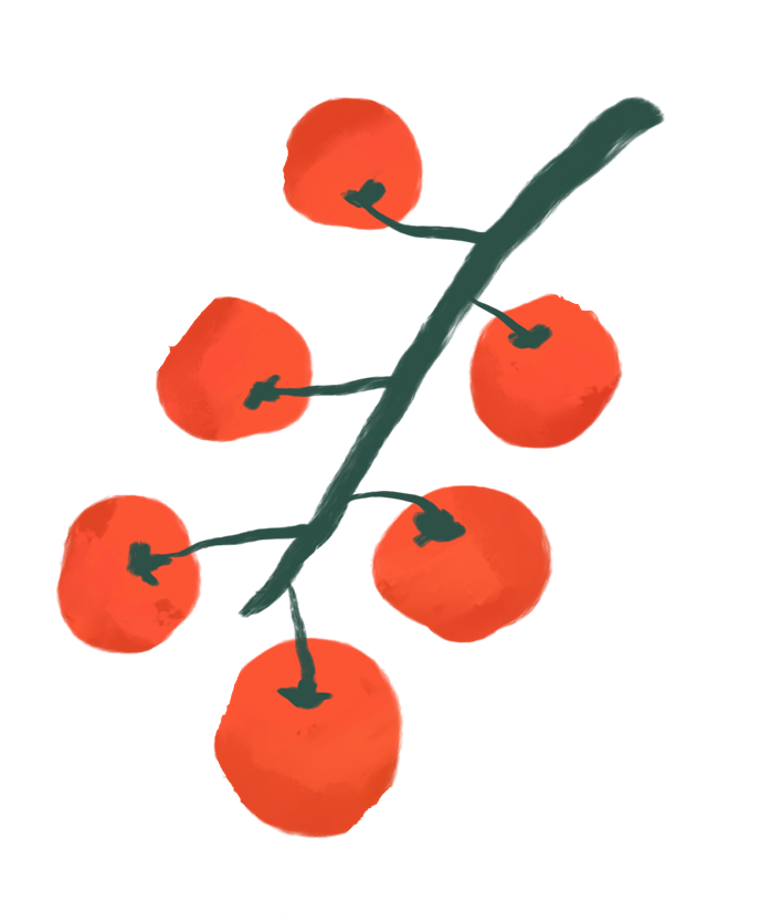 fresh and fruity illustration of cherry tomatoes on the vine
